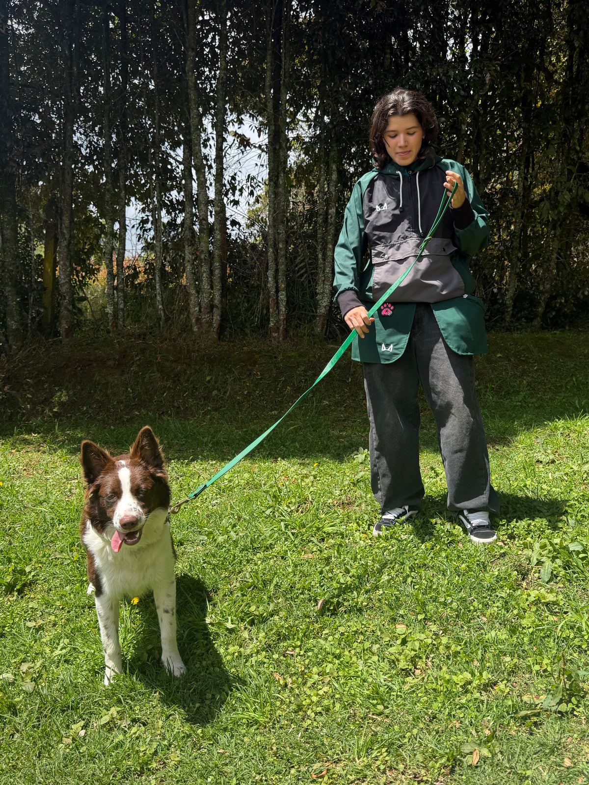 Sistema de entrenamiento