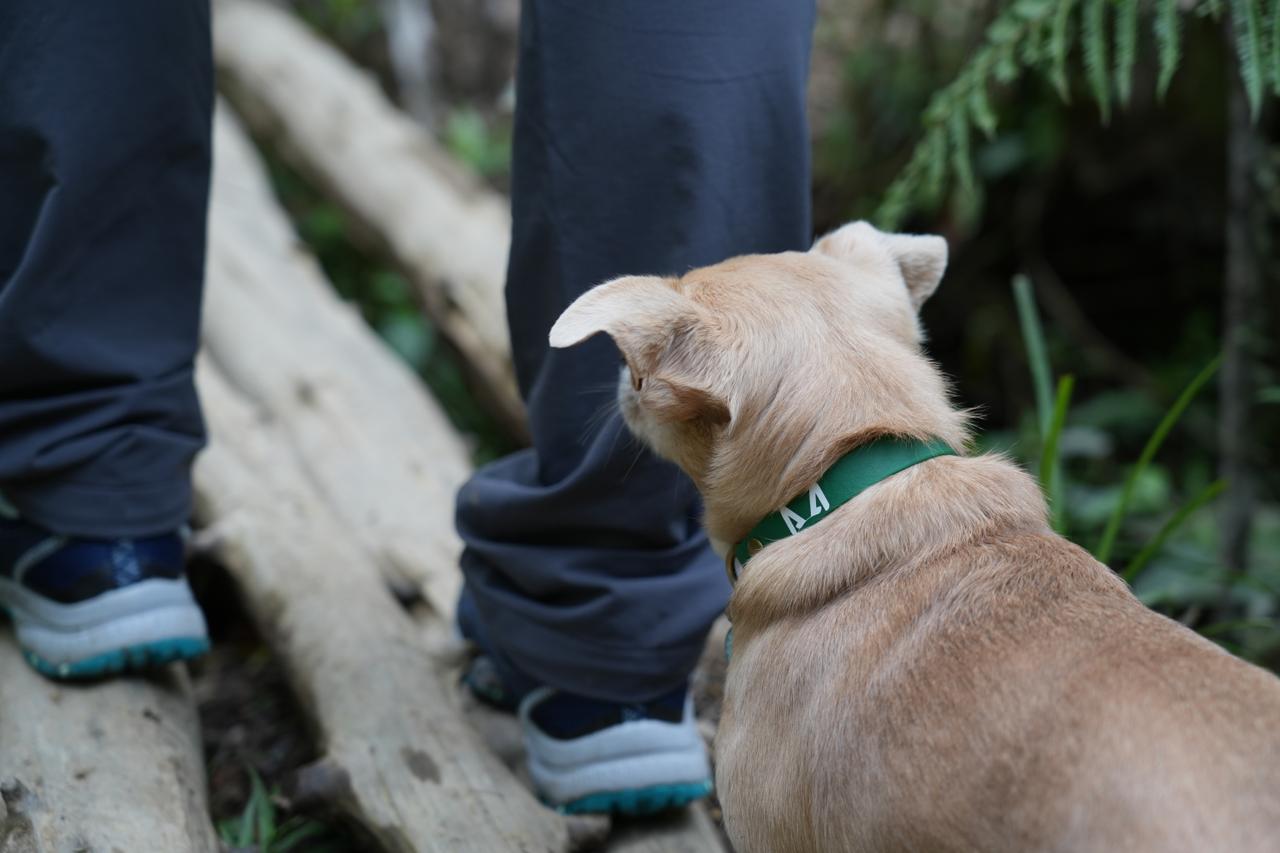 Collar Biothane Akra – Resistente al agua