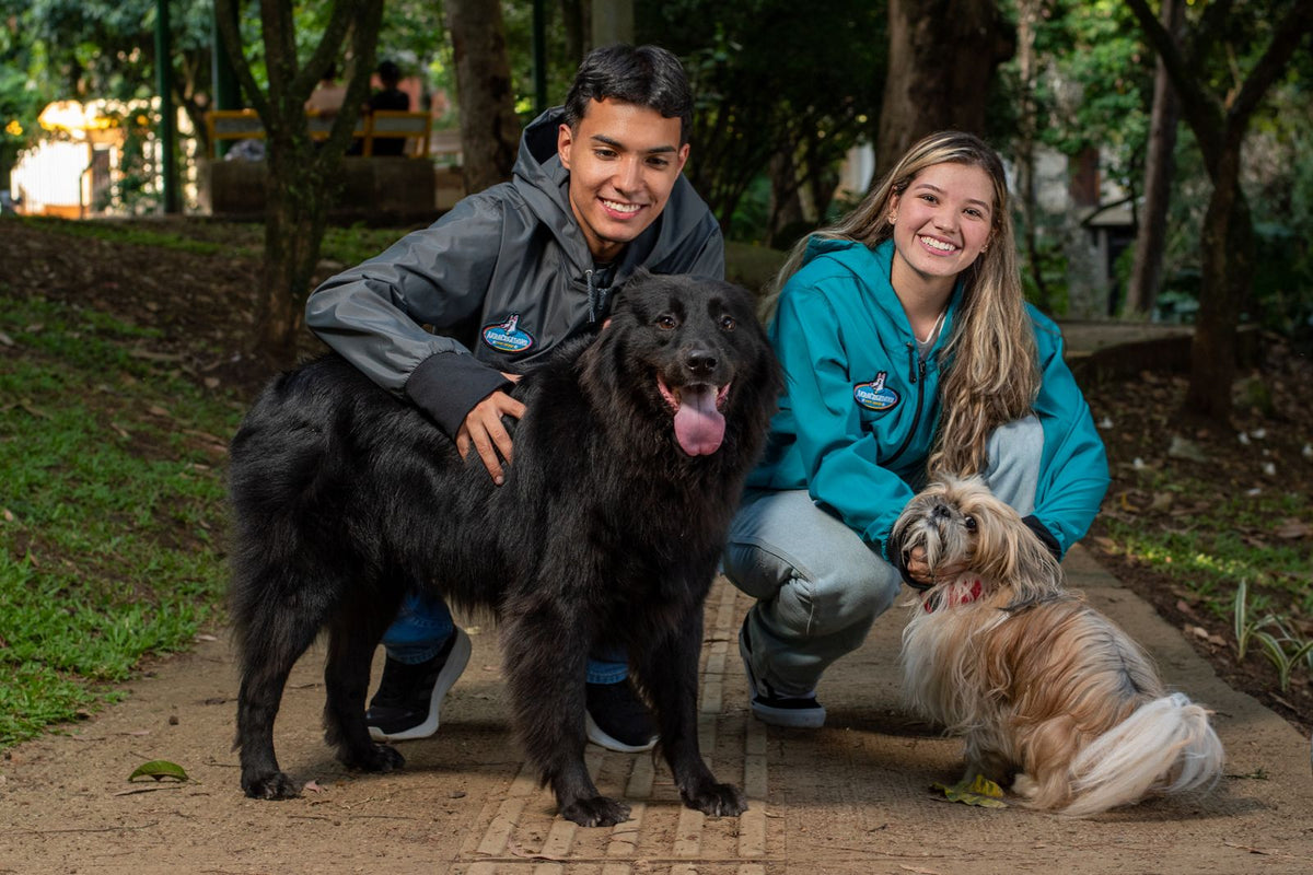 Rompevientos para Entrenamiento Canino en uso